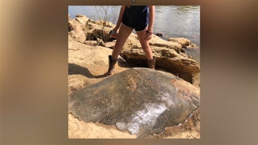 Fishing trip turns historic as 13-year-old finds ancient sea turtle fossil in Alabama river