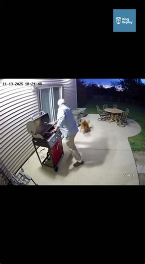 Golden Retriever Pulls Owner Away Moments Before Propane Tank Explosion