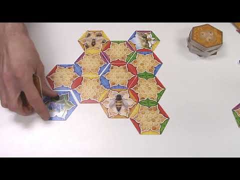 The Bears and the Bees–Gameplay Overview
