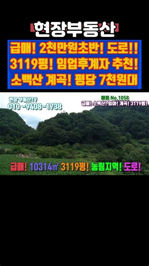 급매 소백산 임야 매매 3119평 2천만원초반 #급매 #임야 #자연인 #산소부지 #소백산 #임업후계자 #어의곡리