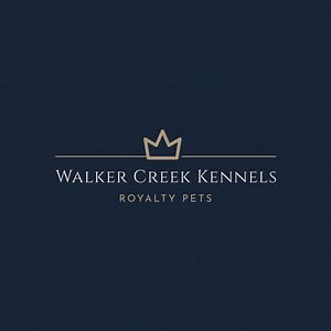 English Mastiff Puppies for sale | Walker Creek Kennels | Glenn