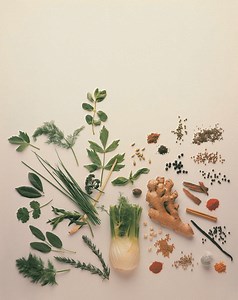 How Does the Age of a Seed Affect Its Ability to Germinate?
