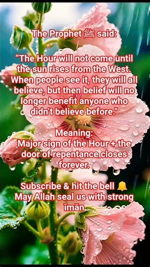 The Most Powerfull Hadiths Explaned. #shorts #explore #hadith #faith #sunnah #islam #quran