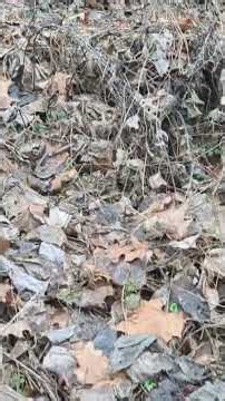 creepy Abandoned building Alaska wv