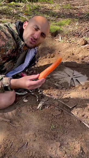 How to Build a Trap for Catching Rabbits