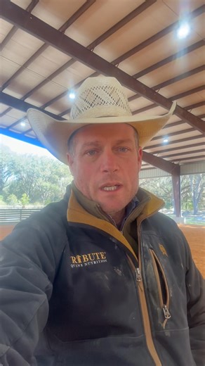 Last day homeOxbow Ranch at OxfordCowboy MagicSalt & Light Custom SpursAlbritton Elite Custom InsuranceEquinetyCross J Tack FloridaSerna Custom BootsWrangler Coffee CompanyAddison's Gunshop, Inc.Spradling Farrier ServicesThe Run For A MillionAGAVA@ | Albritton Reining Horses