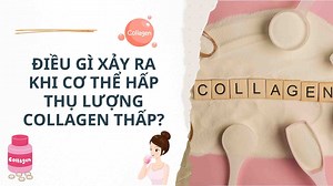 What happens when the body absorbs low levels of collagen?