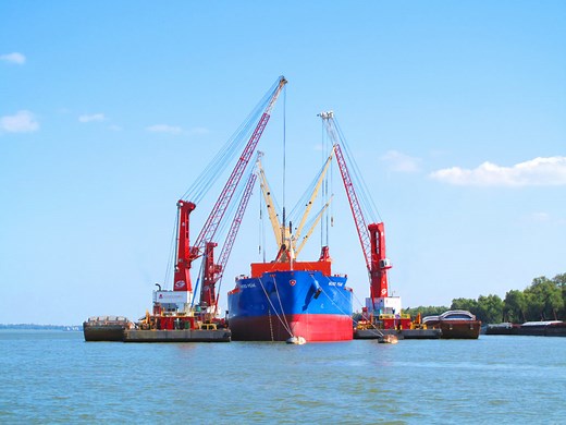 Ability. Attitude. Associated Terminals.