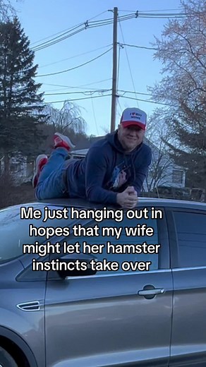 They just seem to know! Hampsters for life. Just enjoying the weather and what not.