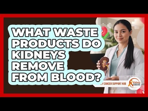 What Waste Products Do Kidneys Remove From Blood?
