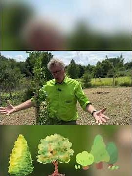 What is special about Ginkgo #farming #garden #gardenlove