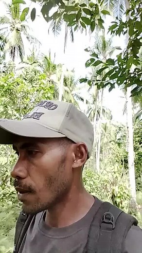 gara-gara sapi ni#vidiolucuh #f#nyongap #fyp