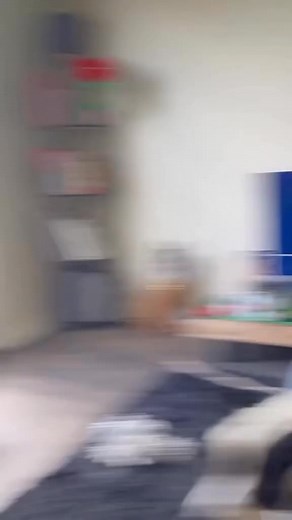 Fun fact: FORCE FEEDING A NUGGET.. unfortunately isn’t off my to do list😂😂🙏🏼 - - - #fyp #fypシ #competitor #powerlifter #olympicweightlifting #gymshoot #hichickennugget #heychickennuggetgirl #thick #trending #videos #training #tall #plates #homegym #hybrid #deadlifts #conventionaldeadlift #glutes #bootybuilding #tall #happy #adhd #mentalawareness #chickennuggetgirl #smile #curvy #country #cage #june | Serqettsworld