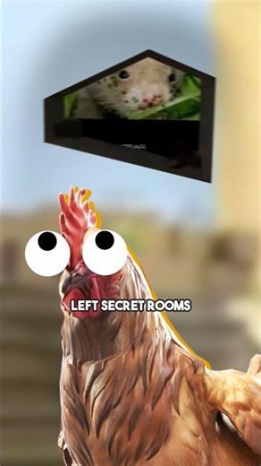 You Played CS 1.6… But Never Saw This