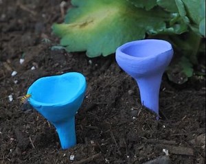 3.6M views · 16K reactions | Awesome hacks & ideas for your garden & yard! | Green Bean | Facebook