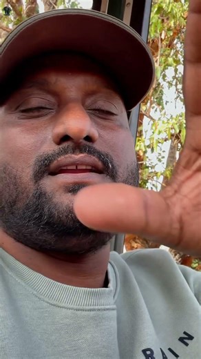 PG Palaya wildlife safari #shorts #wildlife