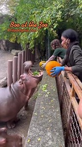 70K views · 609 reactions |  | Pretty things | Facebook