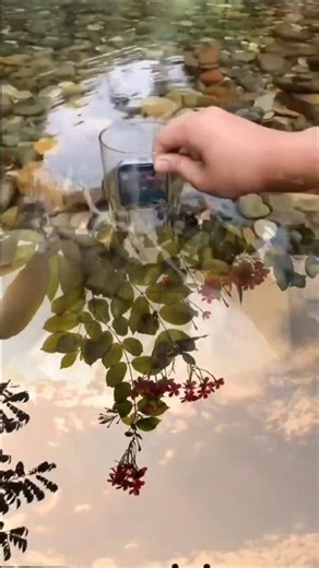 Vn video editor | How to edit mask layer in vn video editor (Tutorial) #shortvideo #love