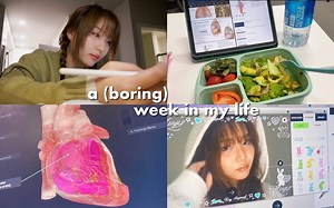 【Yoora Jung】【中字】美国医学生的真实日常