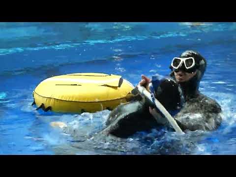 Deepwater blackout rescue | Freediving Skills