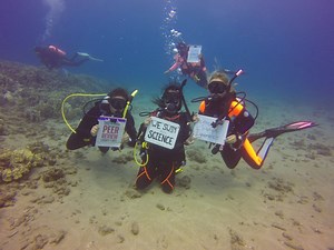 Maui Swim for Science Event Attracts 50 Participants | Maui Now