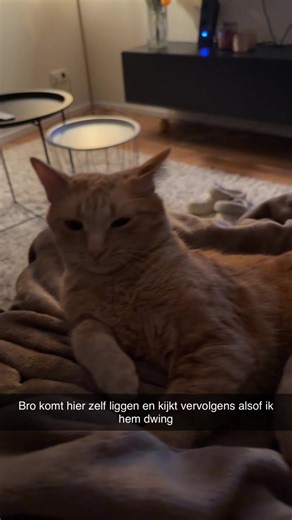 Understanding Mixed Signals in Relationships