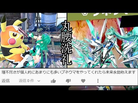 プネウマ（ホムヒカ）にスマブラの洗礼を受けてもらった、丸腰で【スマブラSP】