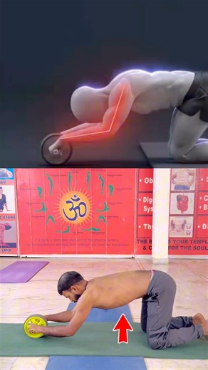 How to use AB Roller with Perfect Form ✅ #Yoga #calisthenics #Handstandpushups #yogigaurav