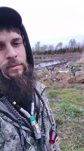 6.9K views · 17 reactions | Solo archery goose hunt #goosehunting #geese #goose #canadagoose #canadageese #archery #bowhunter #bowhunting #waterfowlhunting #waterfowl #teammerp #teamtalker #jrtalker #viralreels #trendingreels #fyp #viral #trending #hunting #duckhunting #birdhunting #wildlife #inflight #westcoast #talkeroutdoors #letsgo #oregon #pnw #bowandarrow #arriw #flufluarrows #honkers #decoys #cuppedup | James Anderson | Facebook