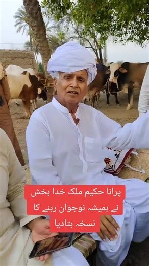 Yousaf Bhatti WhatsApp Link: Access & Notes