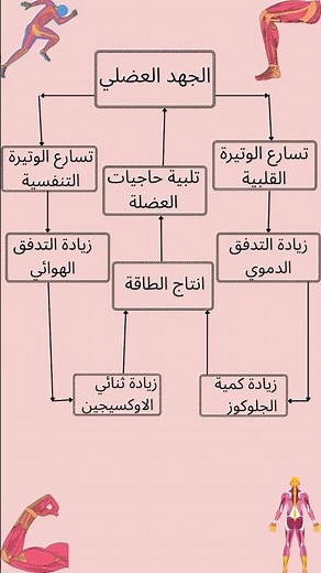 مخطط يوضح تأثير الجهد العضلي على الوظيفة القلبية و التنفسية #بحيطة_سلسبيلة #اولي_ثانوي #وحدة_عضوية