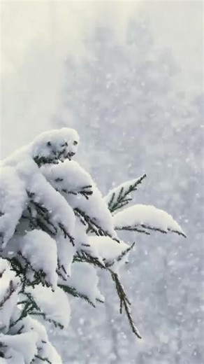 Concessionaria Dr & EVO on Instagram: "Inarrestabile anche sulle strade più difficili! L'ineguagliabile ICH-X K2 ti aspetta in tutte le filiali Grandolfo Auto! 💥 #grandolfoauto #concessionaria"