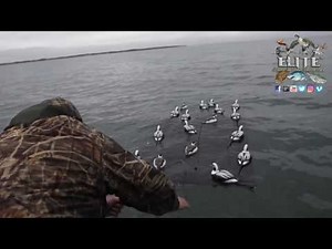 The "Decoy Raft" HD SeaDuck