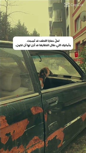 حالات واتس اب #السعوديه #اكسبلور