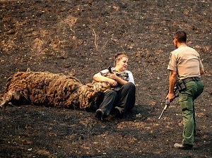 'Significant Fire Growth' Anticipated In LNU Lightning Complex