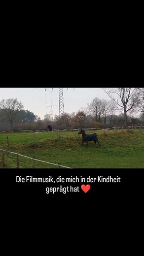 Die Filmmusik, die mich in der Kindheit geprägt hat. ❤️ Wer erkennt sie? #horsesofinstagram #horse #horselife🐴 #blackbeauty❤️ | Byrnlea Koch