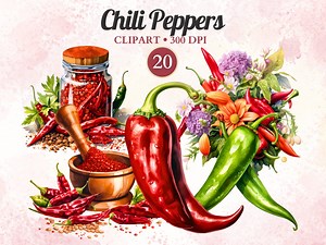 Chili Pepper Clipart, Spices Clipart, Spices Png, Spice Ingredients, Herbs, Jars, Cooking Illustration, Condiment, Culinary, Food, Kitchen - Etsy