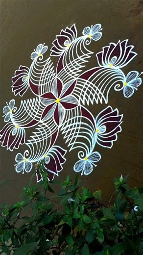 daily morning rangolikolam#muggulu#kolam #rangoli#shortsfeed#trendingshorts#simplekolam #easyrangoli