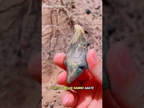 Rare Crystals Collection and prices revealed 🤑 #shrots #usa