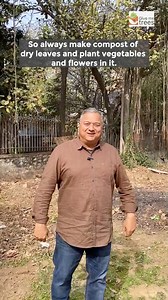 92K views · 3.1K reactions | Make compost of dry fallen leaves of trees. #peepalbaba #peepalbabasays #compost #parks #organicgardening #peepalbabafoundation | Peepal Baba | Facebook