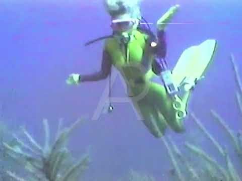 📼🤿📷 1983 SCUBA Dive - Bonaire Underwater Photography Reel (ASMR)