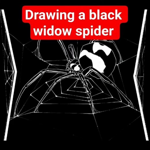 drawing timelapse black widow spider #art #timelapse #drawingprocess #drawing