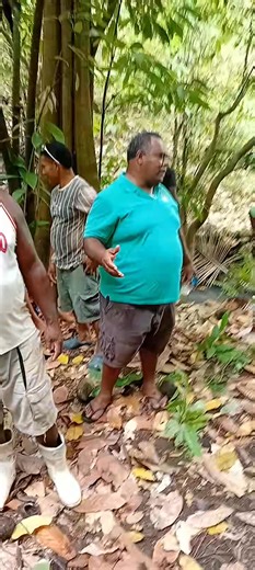 Akool Sharks on Reels