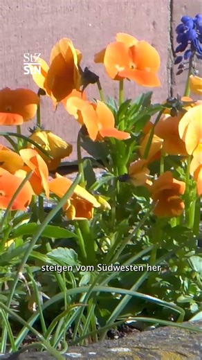 Sunny or cloudy: What will the weather be like on May 1st?
