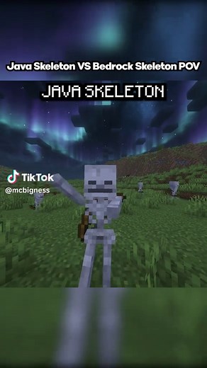 Java Skeleton vs Bedrock Skeleton: A Minecraft Showdown