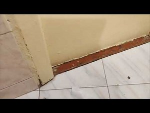 Pooping with some Farts