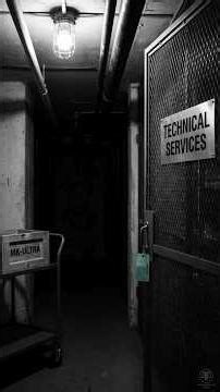 MK Origins: Eyes Only | MKULTRA #documentaryshorts #ushistory #facts