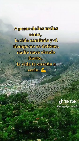 Stunning Aerial Views of Terraced Mountain Landscapes