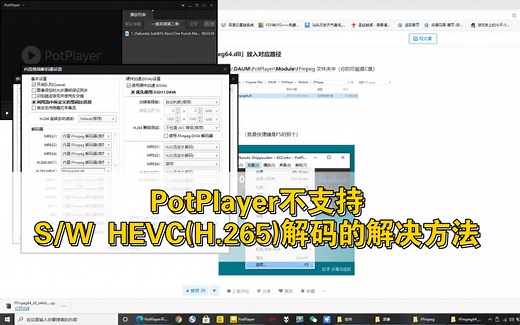 PotPlayer不支持S/W HEVC(H.265)解码的解决方法