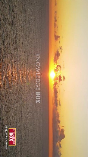 Some things we do in our leisure times to grow what we do as a profession. | Knowledge Box